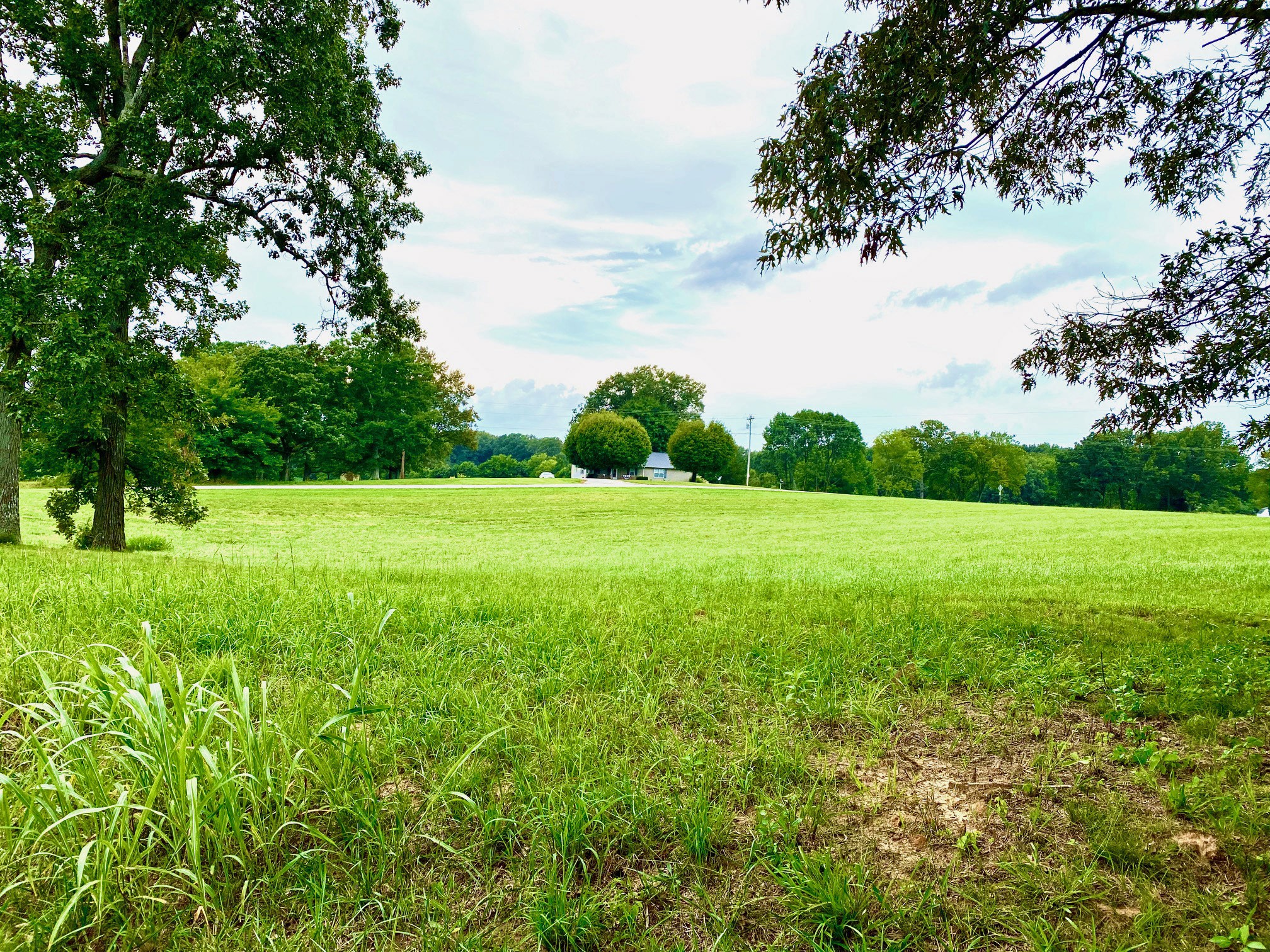 2214 Temperance Road Franklin, KY 42134 - Photo 3 of 14 Gallery Image 3