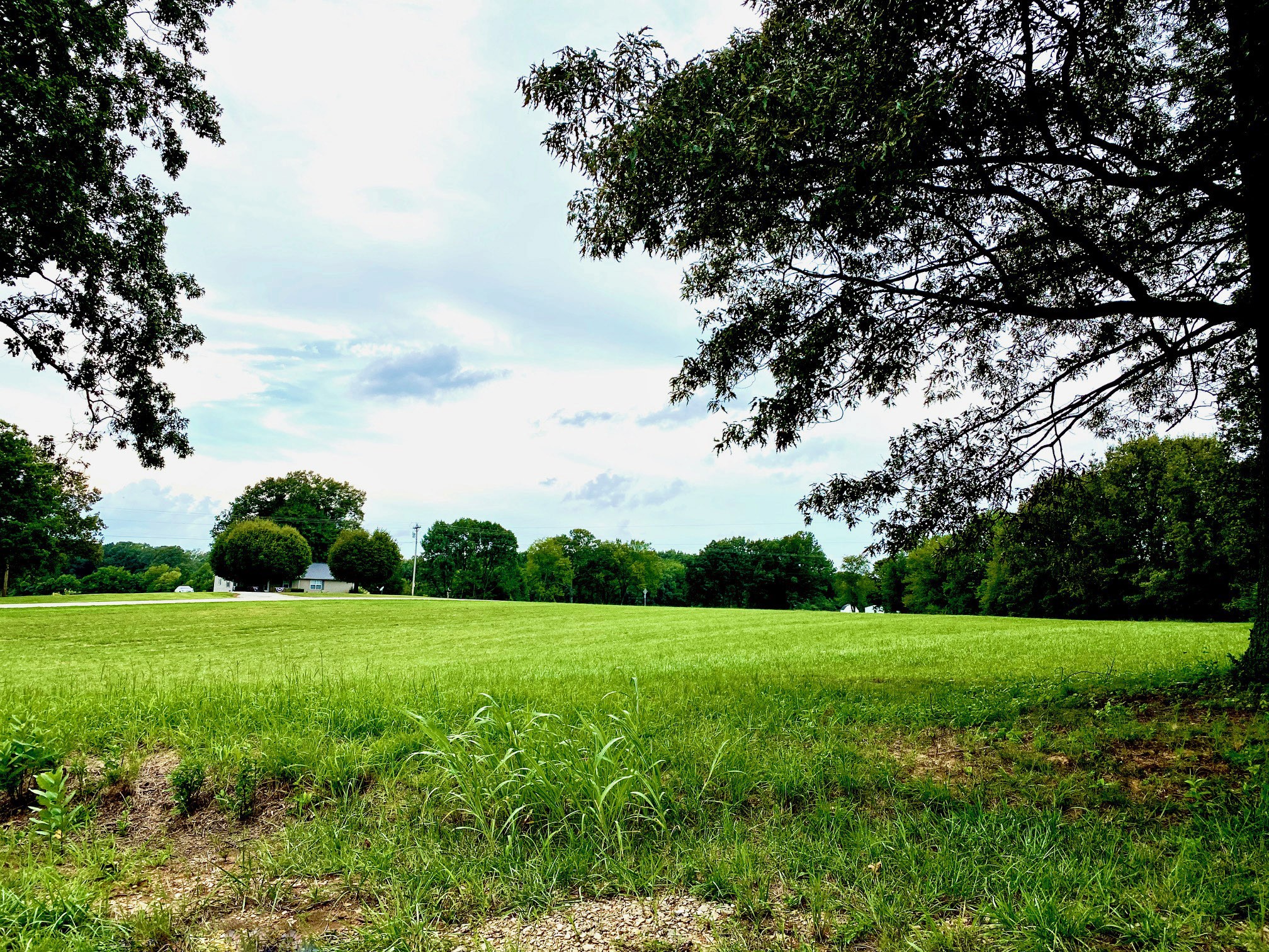 2214 Temperance Road Franklin, KY 42134 - Photo 5 of 14 Gallery Image 5