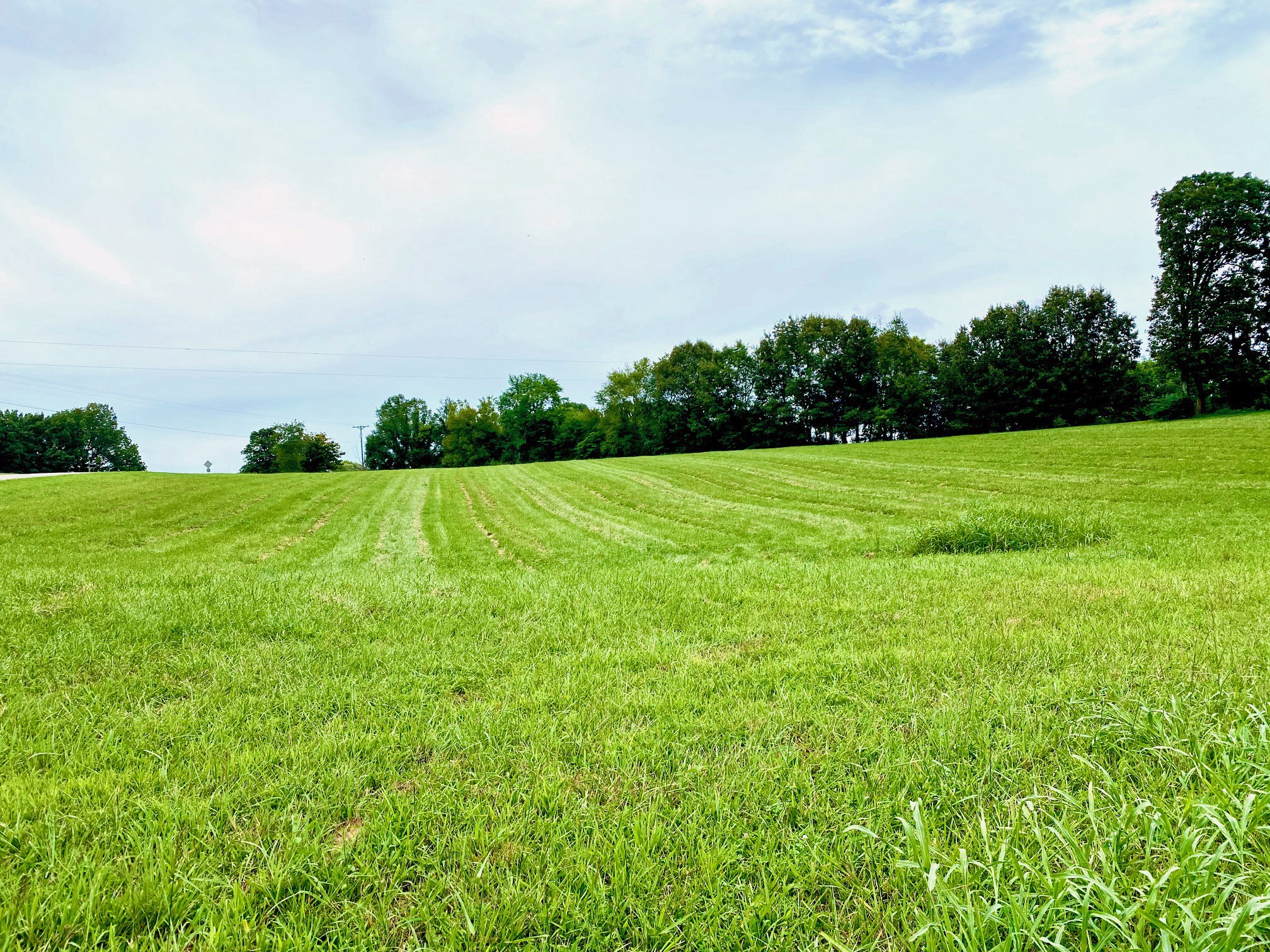 2214 Temperance Road Franklin, KY 42134 - Photo 6 of 14 Gallery Image 6