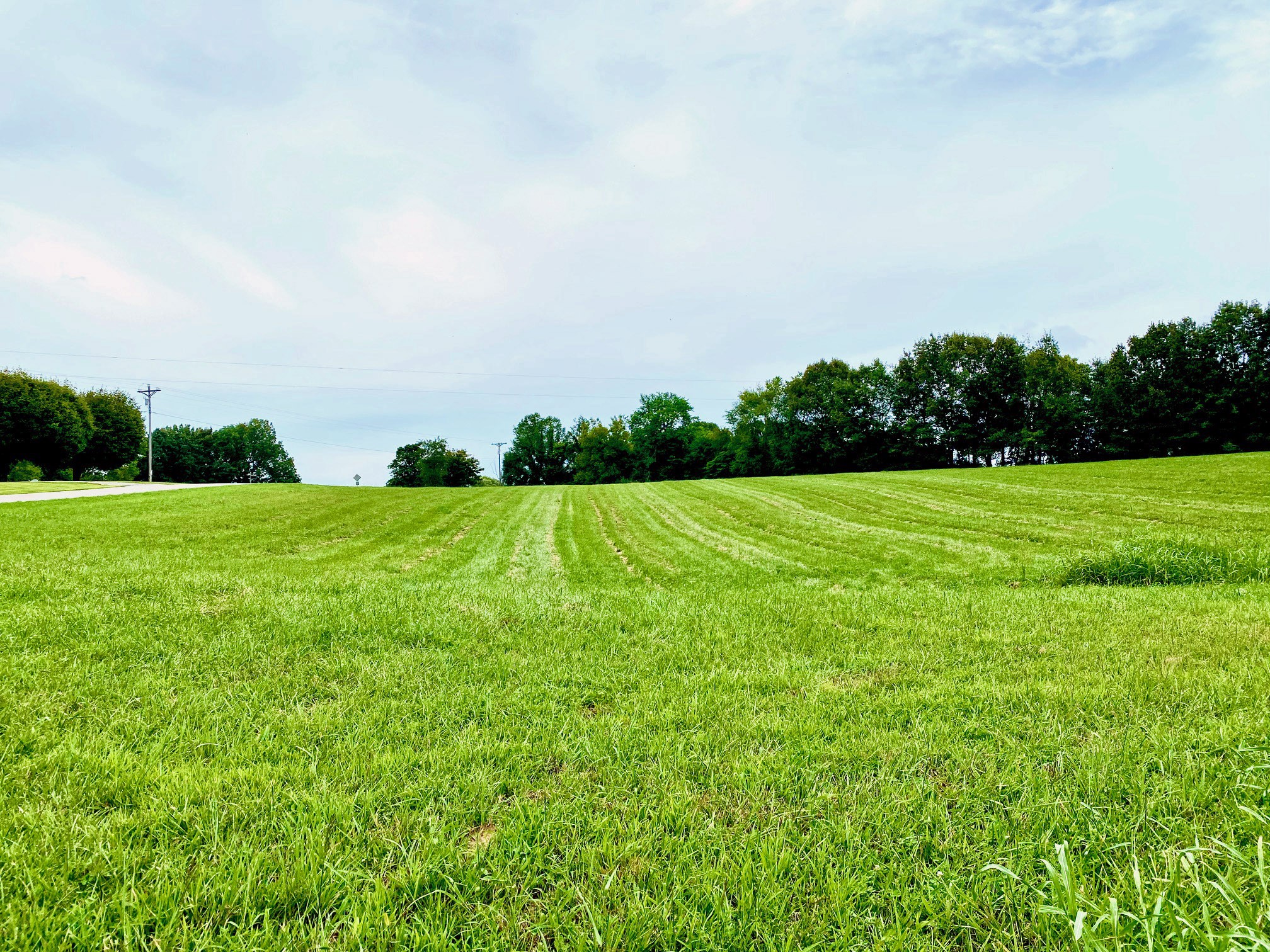 2214 Temperance Road Franklin, KY 42134 - Photo 7 of 14 Gallery Image 7