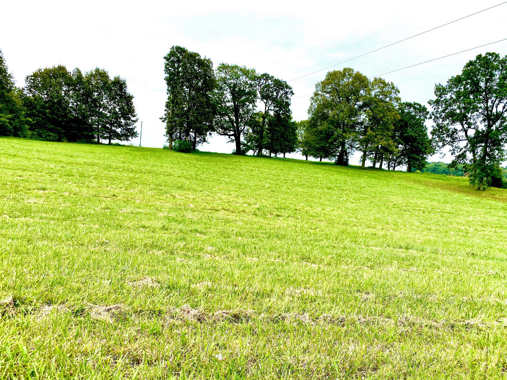2214 Temperance Road Franklin, KY 42134 - Photo 10 of 14 Gallery Image 10