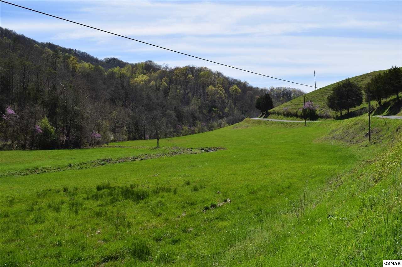 617 War Creek Road Eidson, TN 37731 - Photo 32 of 35