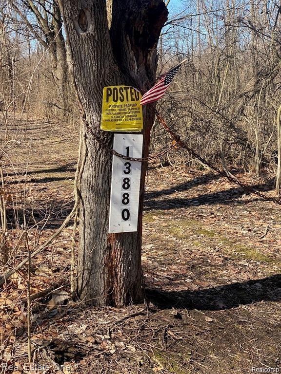 Vacant Stowell Road Dundee, MI 48131 - Photo 12 of 13 Gallery Image 12