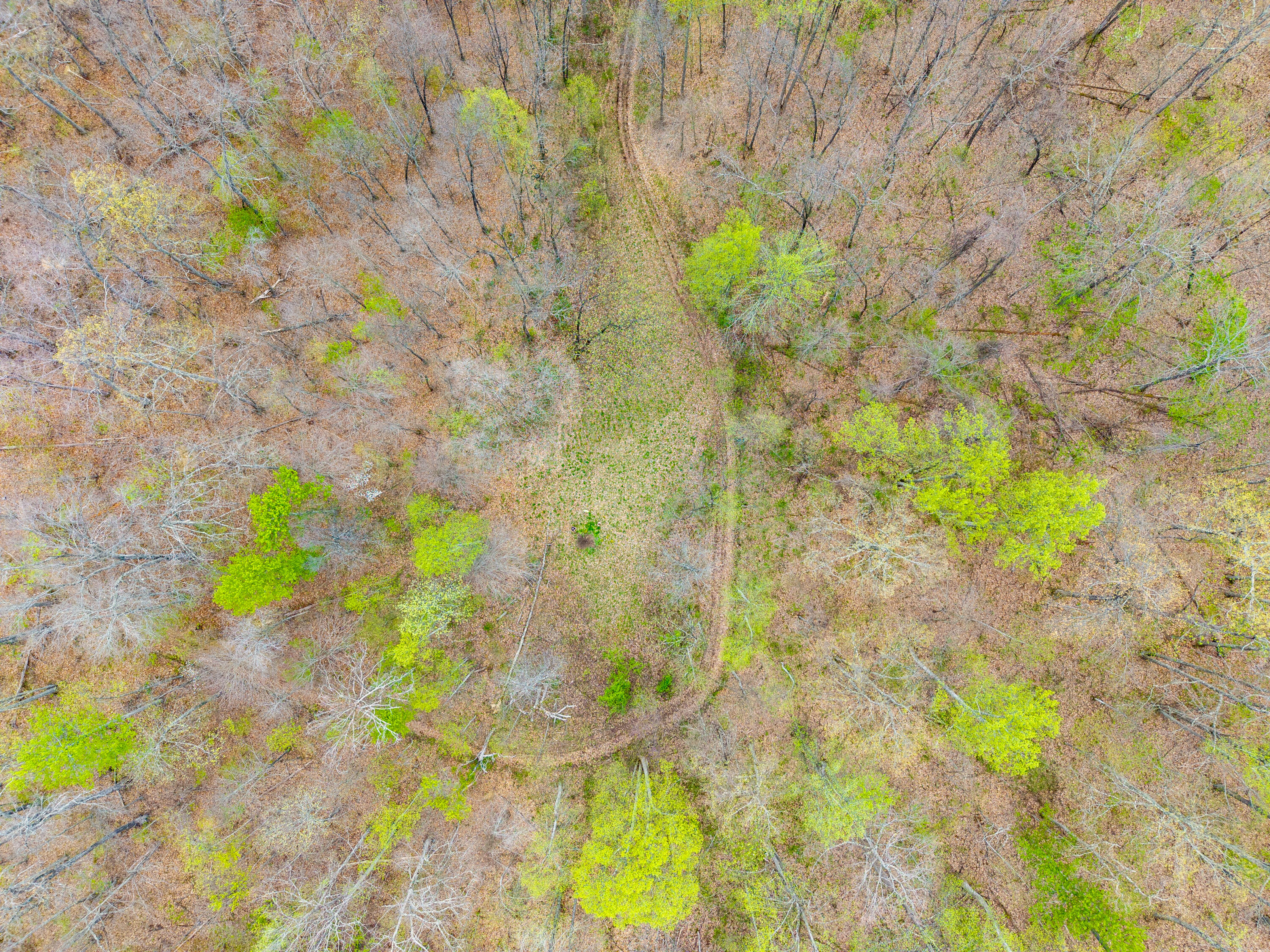 10200 Cranston Road Morehead, KY 40351 - Photo 61 of 62 DJI_20260414115306_0062_D
