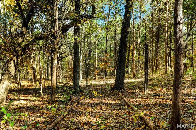 $329,900 | 6 Cindy Drive, Luebbering, MO 63061