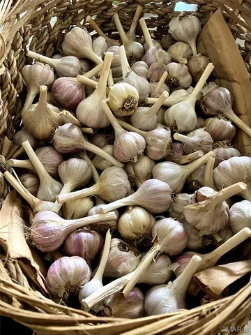 $329,900 | 6 Cindy Drive, Luebbering, MO 63061