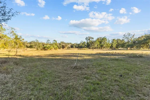a view of an ocean beach