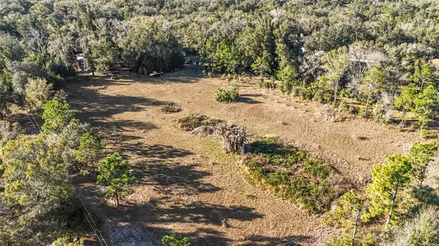 a view of a yard with trees