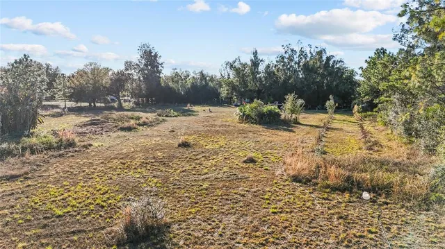 a view of a yard with trees in the background