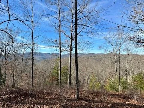 $199,000 | 305 Raccoon Run, Unit 25, Marshall, NC 28753