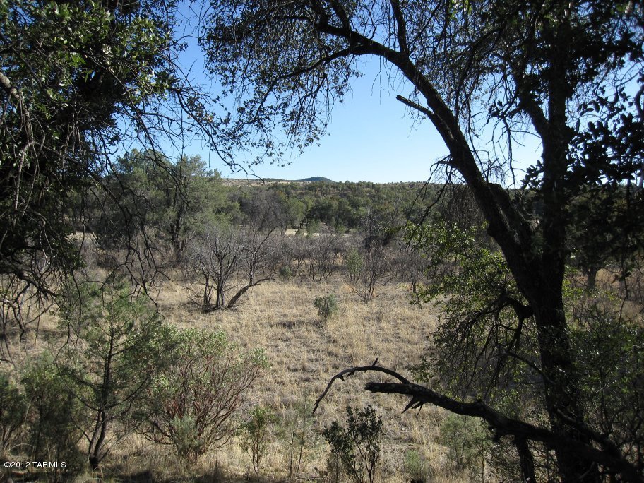 390 Lyle Canyon Road Elgin, AZ 85611 - Photo 4 of 23
