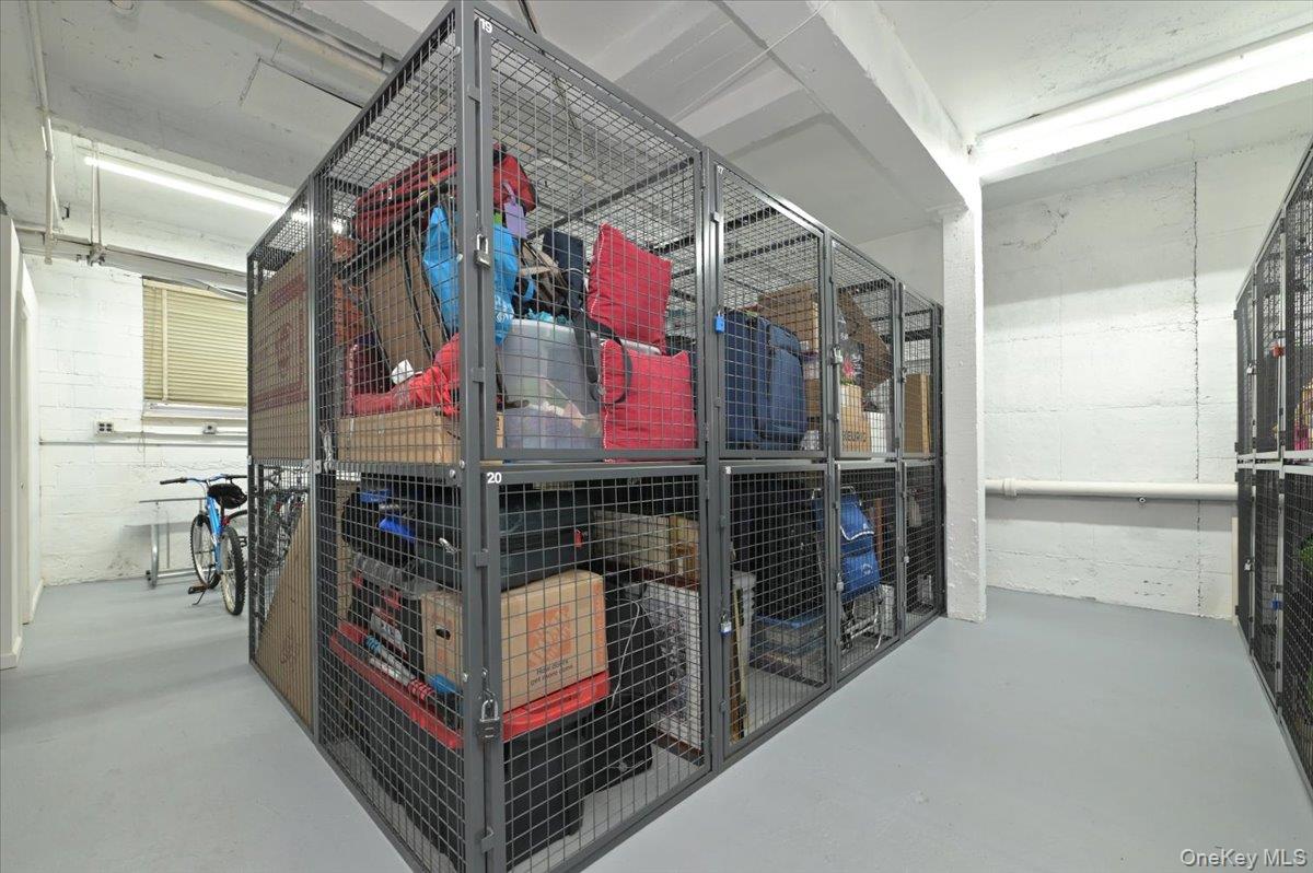 25 Canterbury Road, Unit 3H Great Neck, NY 11021 - Photo 36 of 45 Storage for Rent