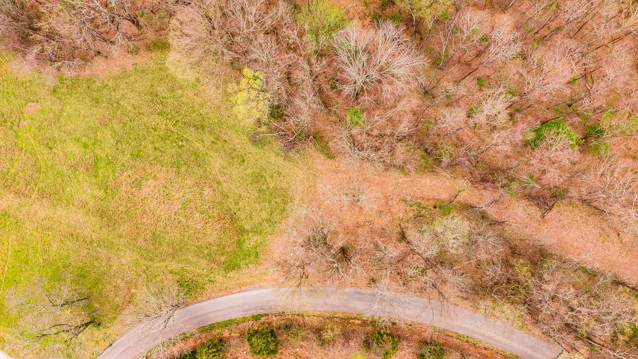 0 Wolf Hill Road Bethpage, TN 37022 - Photo 17 of 46