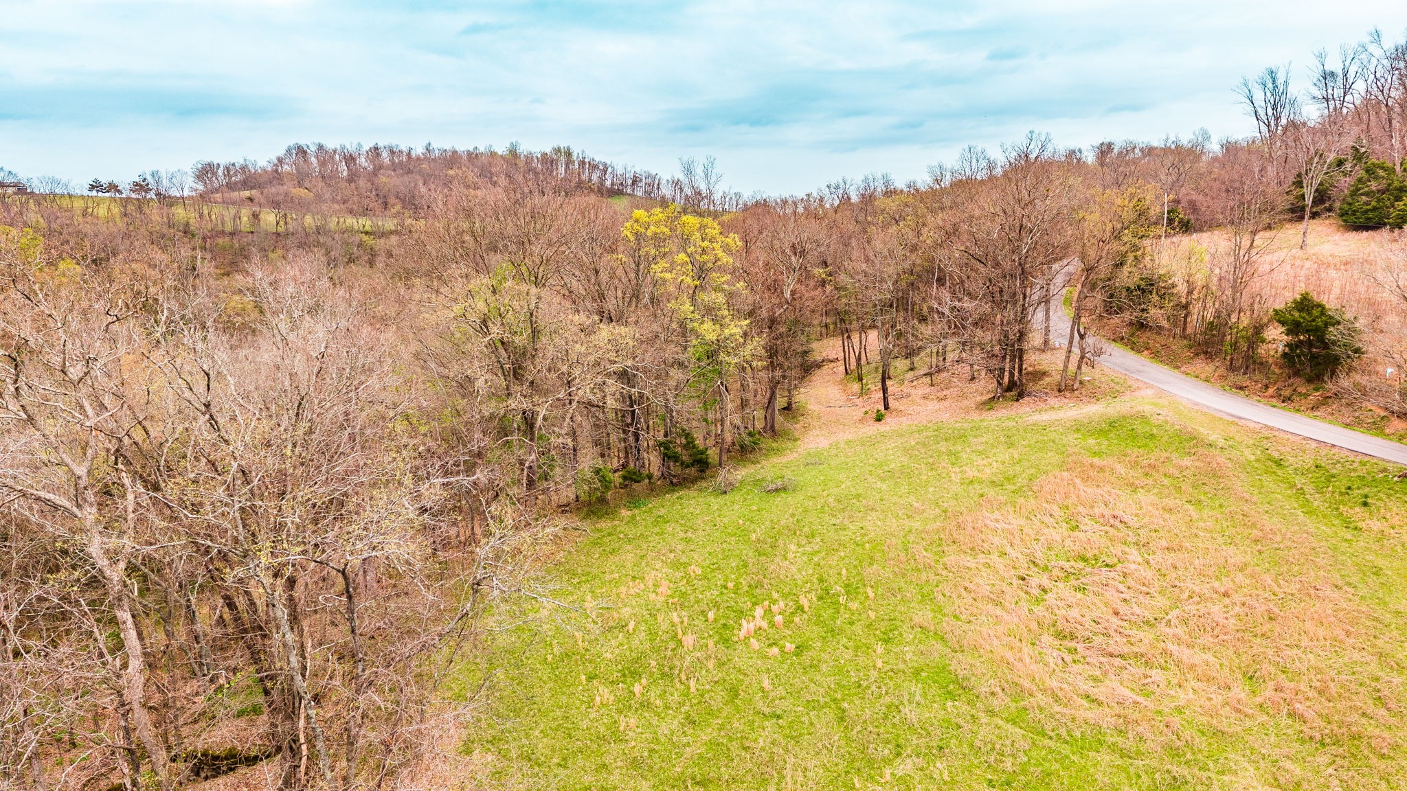 0 Wolf Hill Road Bethpage, TN 37022 - Photo 19 of 46 a view of ocean with large trees