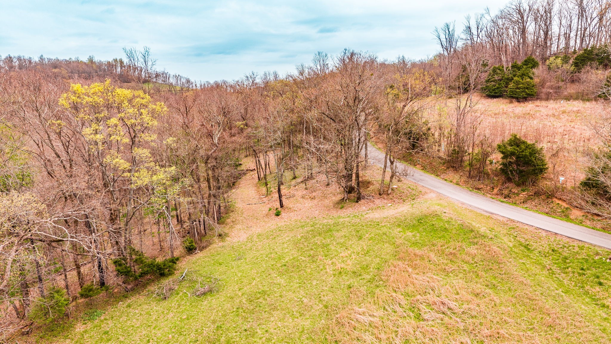 0 Wolf Hill Road Bethpage, TN 37022 - Photo 20 of 46 a view of a yard with wooden fence