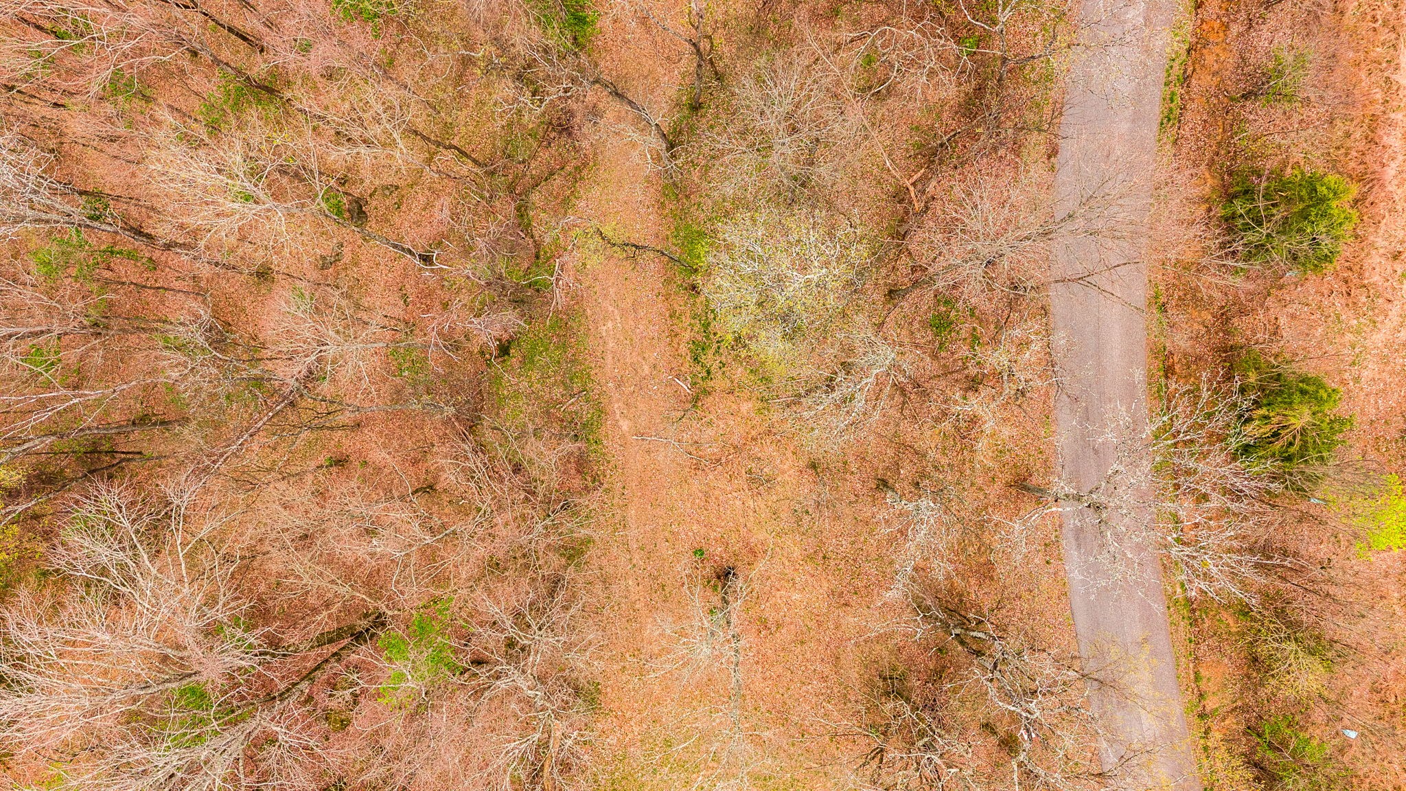 0 Wolf Hill Road Bethpage, TN 37022 - Photo 21 of 46 a close up of a wall with a white wall