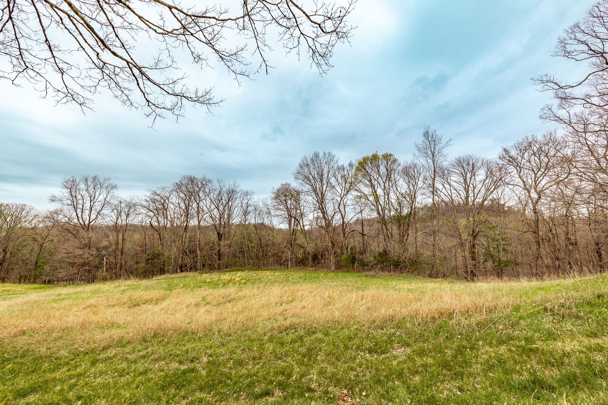 0 Wolf Hill Road Bethpage, TN 37022 - Photo 22 of 46 a view of yard with large trees