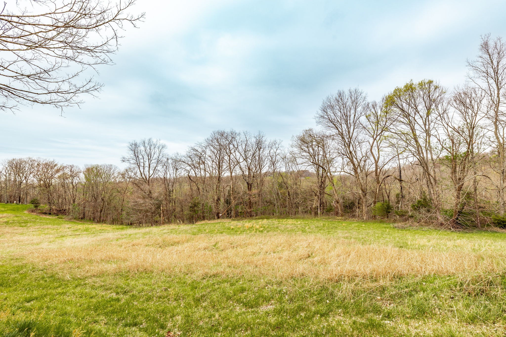 0 Wolf Hill Road Bethpage, TN 37022 - Photo 23 of 46 a view of yard with swimming pool and trees