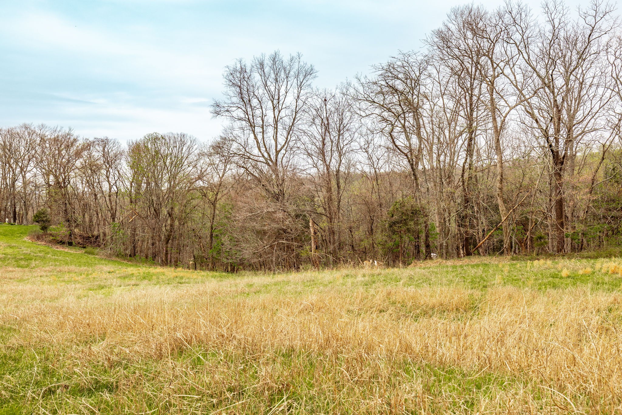 0 Wolf Hill Road Bethpage, TN 37022 - Photo 24 of 46 a view of swimming pool with trees in the background