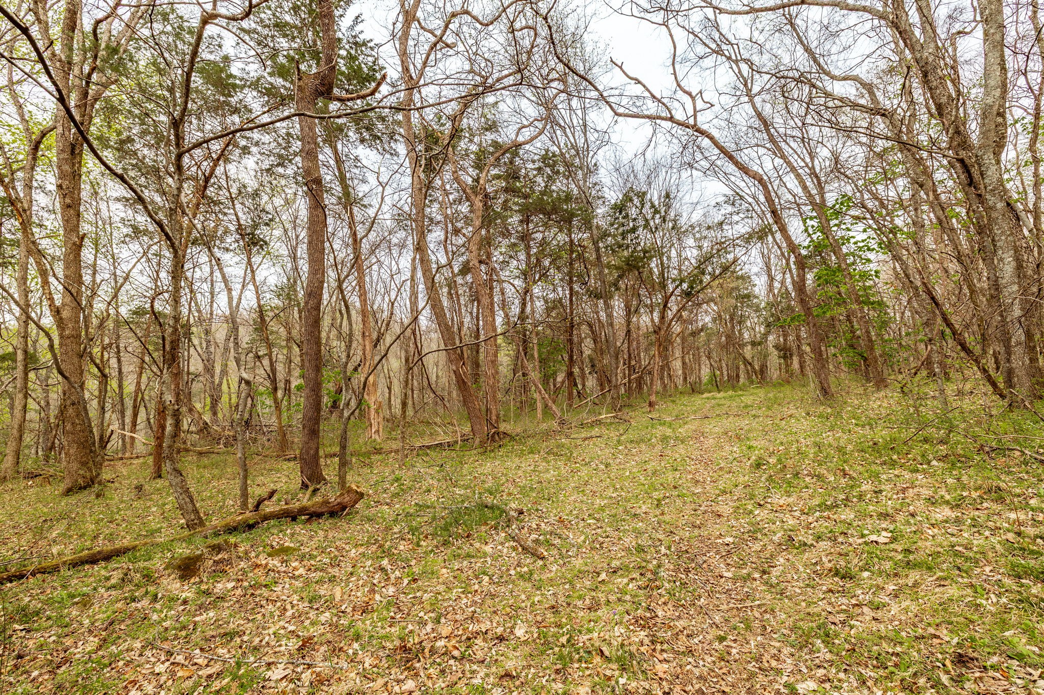 0 Wolf Hill Road Bethpage, TN 37022 - Photo 29 of 46