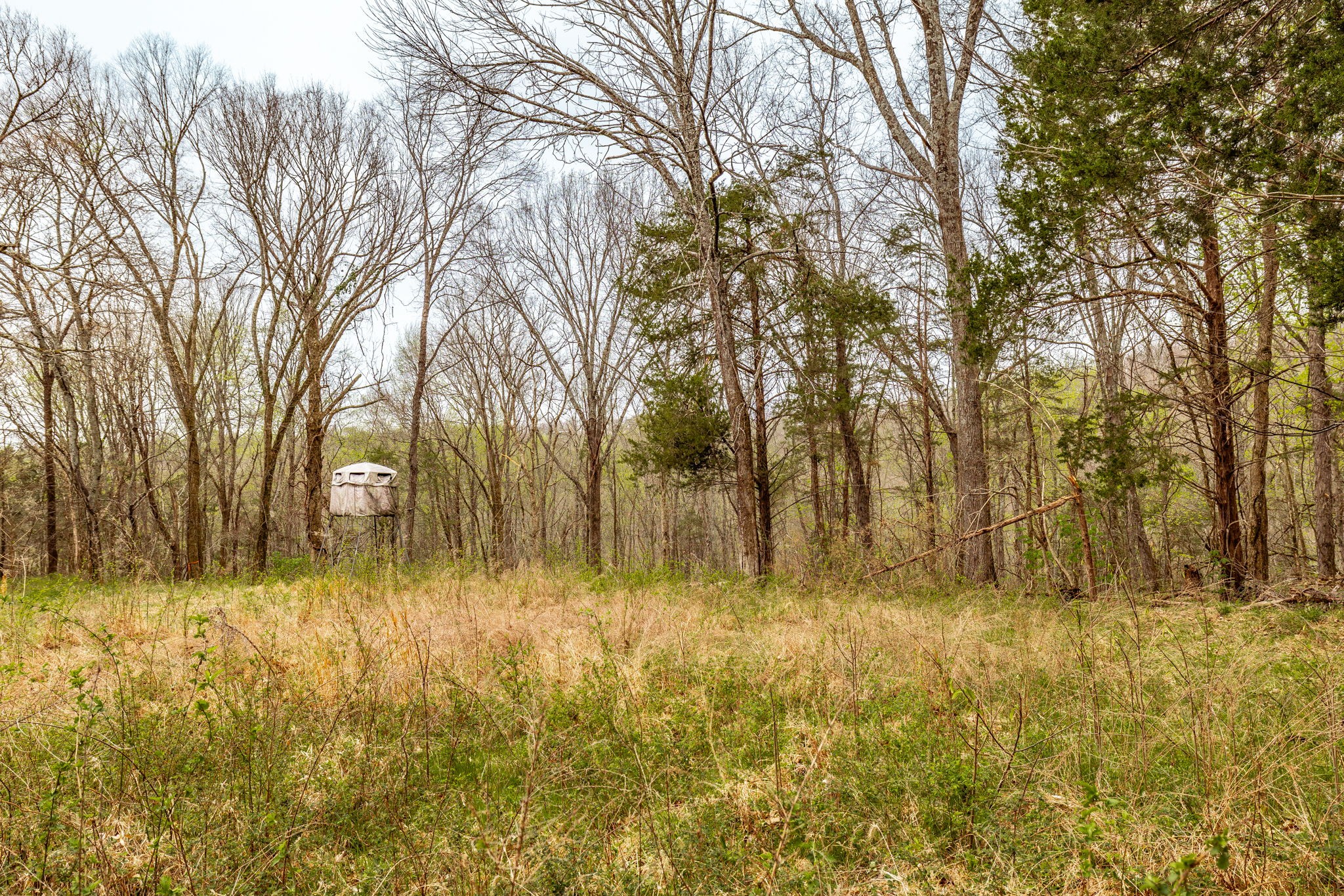 0 Wolf Hill Road Bethpage, TN 37022 - Photo 30 of 46 a view of swimming pool with trees in the background