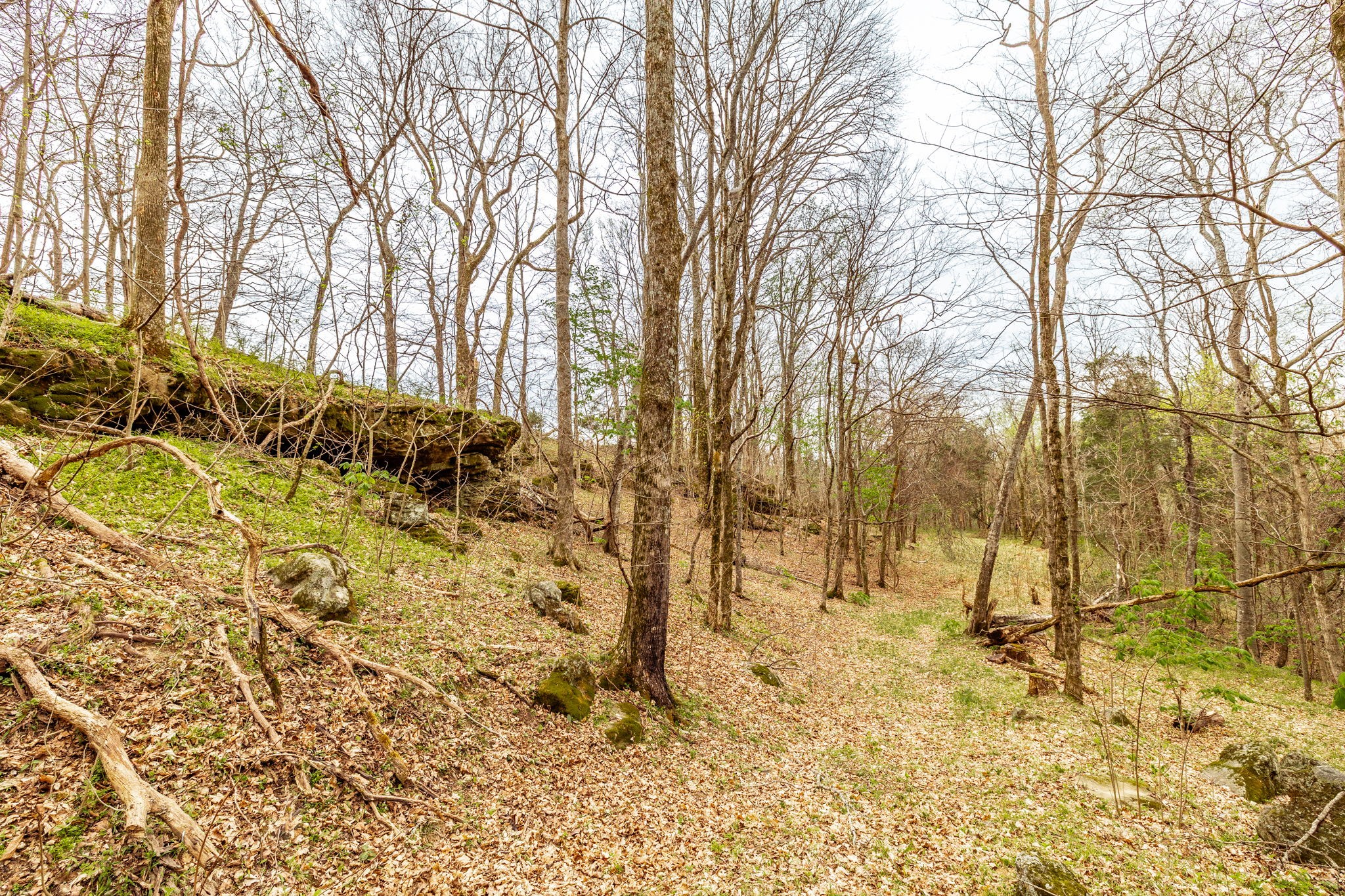 0 Wolf Hill Road Bethpage, TN 37022 - Photo 39 of 46