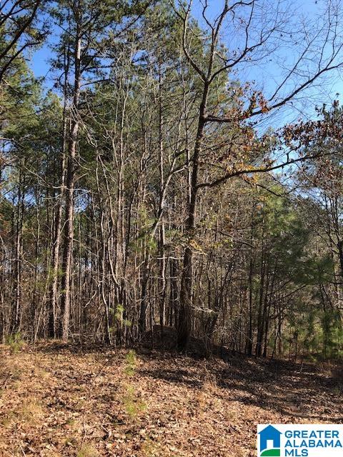 0 Blackjack Road, Unit 24 Trussville, AL 35173 - Photo 14 of 21