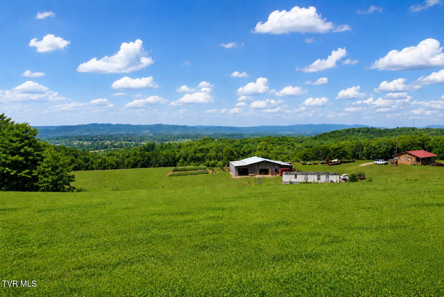 710 Colvert Road Mosheim, TN 37818 - Photo 46 of 57 the view