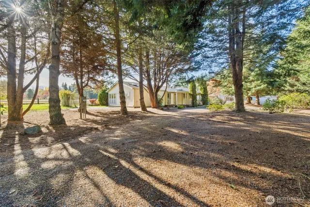 a view of road with trees