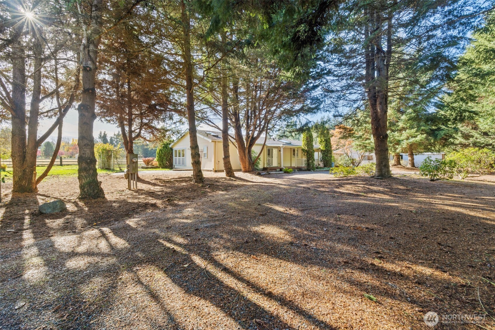 a view of road with trees
