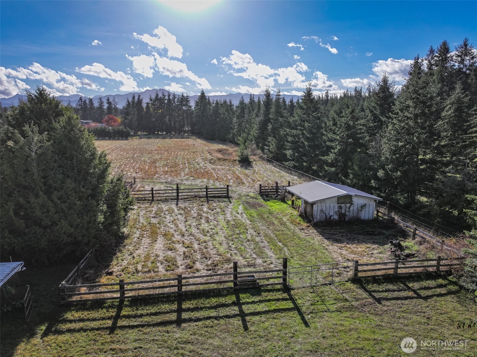 132 Cosmos Lane Port Angeles, WA 98362 - Photo 35 of 40 a view of a bench in front of house