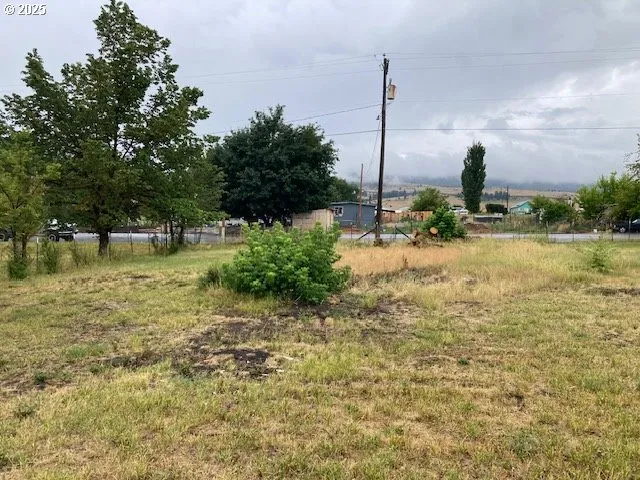 a view of a park with a tree