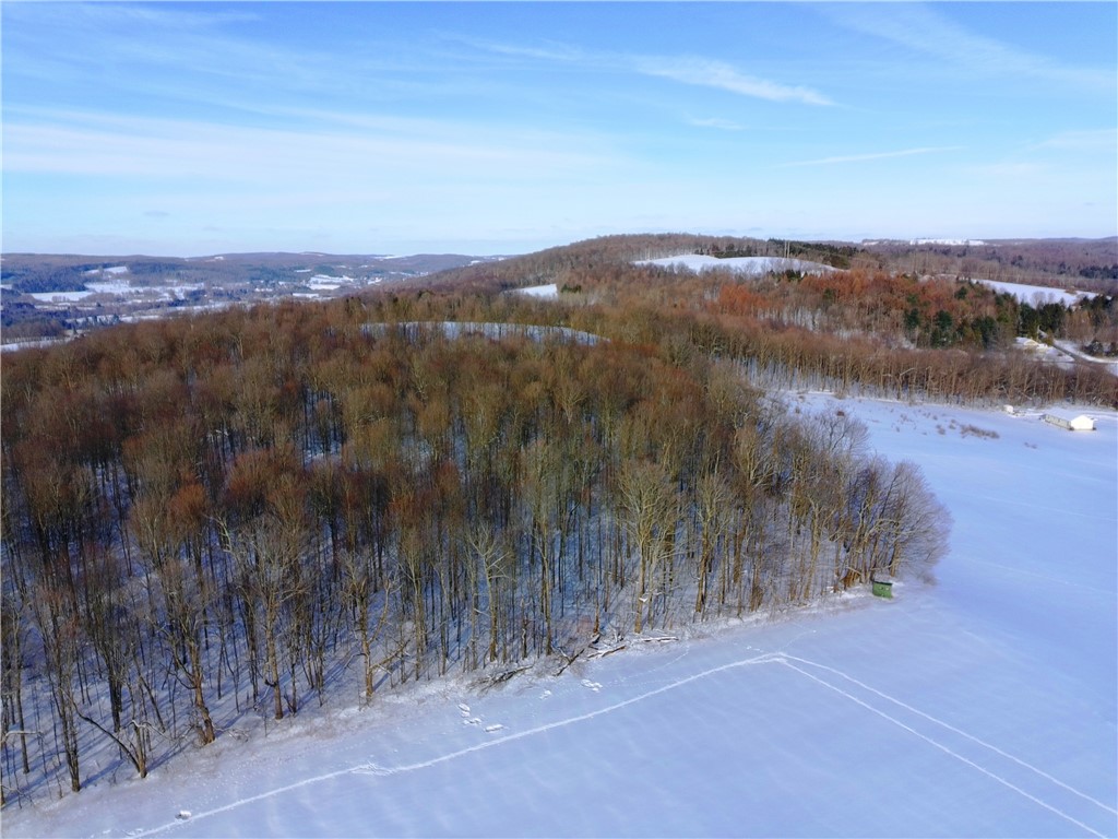 1017 Humphrey Road Hamilton, NY 13332 - Photo 44 of 50