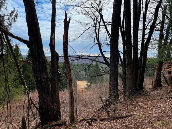 $350,000 | 1017 Humphrey Road, Hamilton, NY 13332