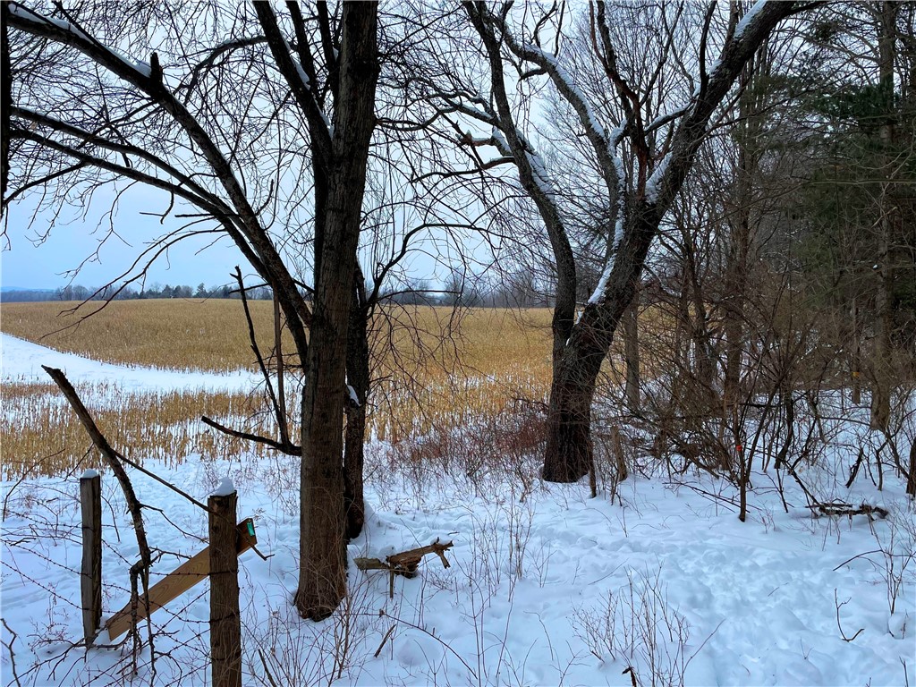 1017 Humphrey Road Hamilton, NY 13332 - Photo 46 of 50