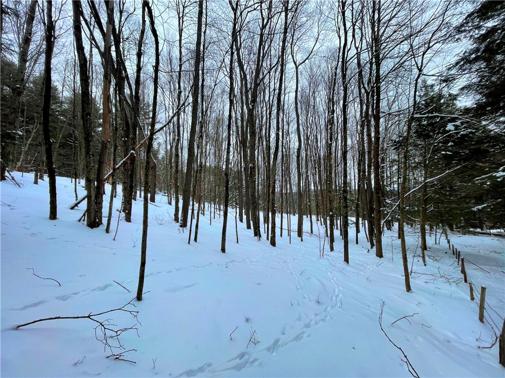 1017 Humphrey Road Hamilton, NY 13332 - Photo 47 of 50