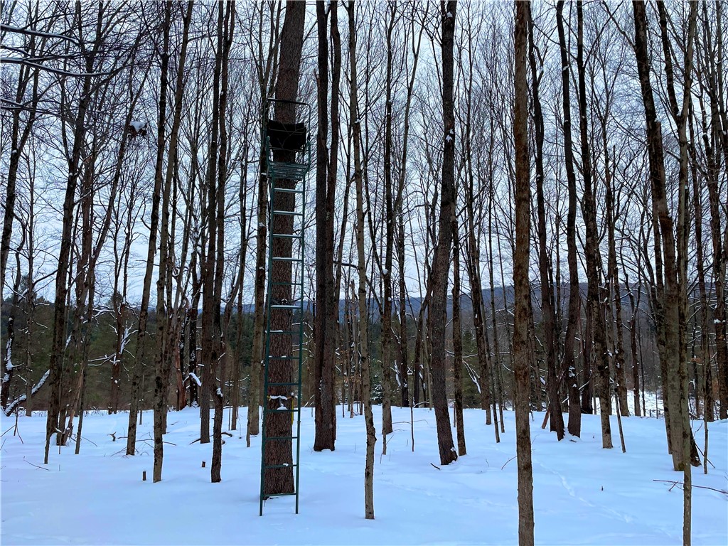 1017 Humphrey Road Hamilton, NY 13332 - Photo 48 of 50