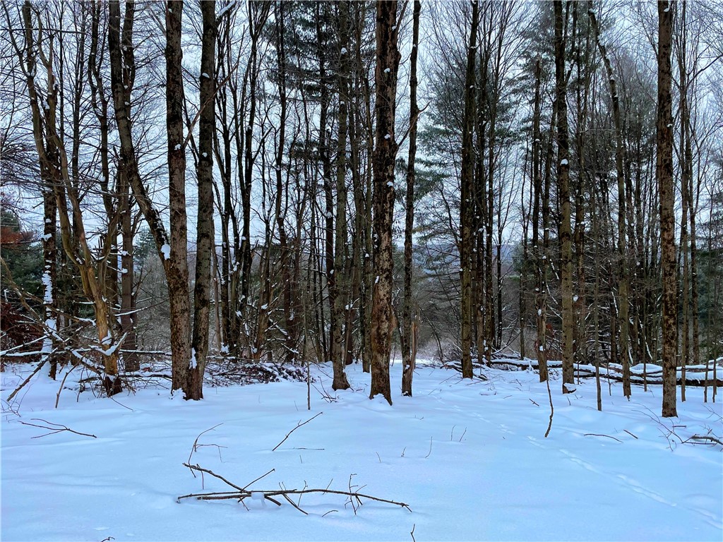 1017 Humphrey Road Hamilton, NY 13332 - Photo 50 of 50