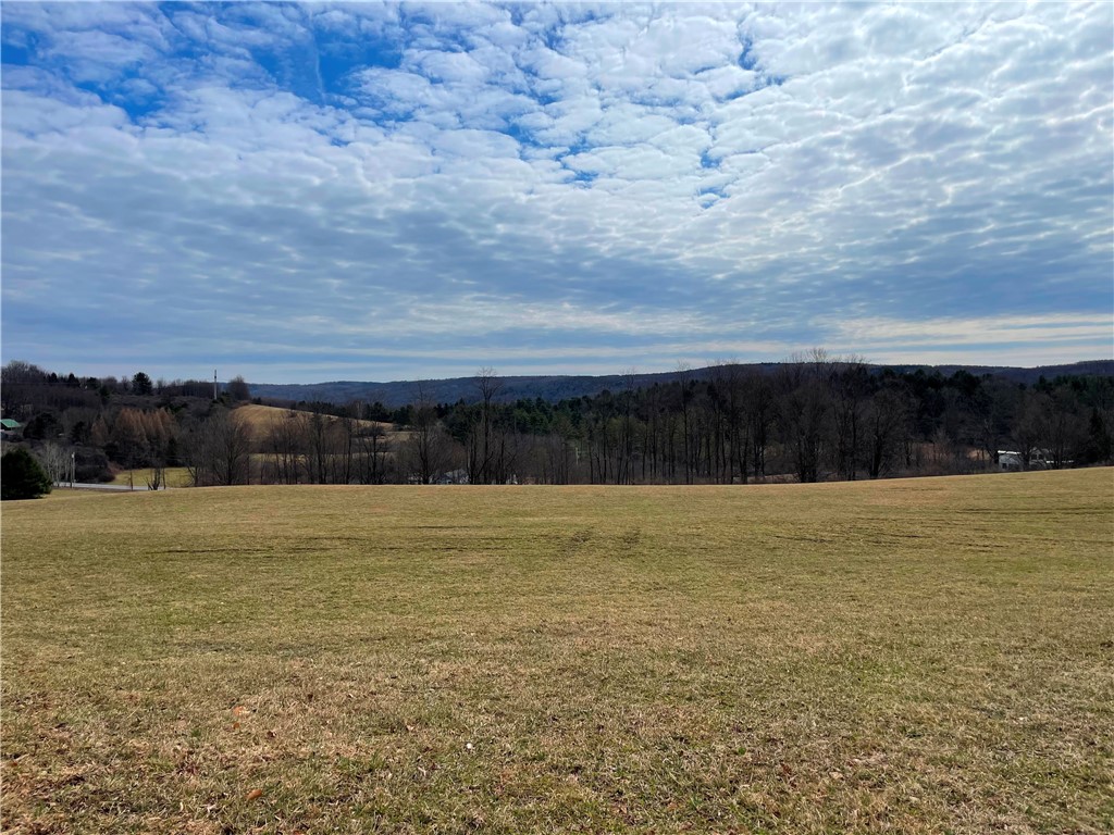 1017 Humphrey Road Hamilton, NY 13332 - Photo 7 of 49