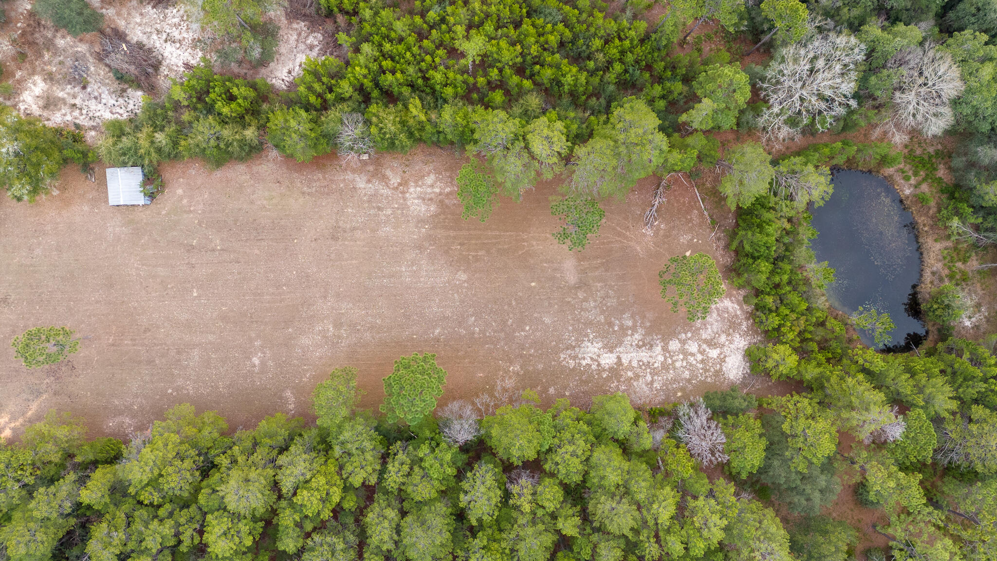 387 Pope Street Freeport, FL 32439 - Photo 70 of 82 30-print-DJI_20260116141531_0029_D-HDR