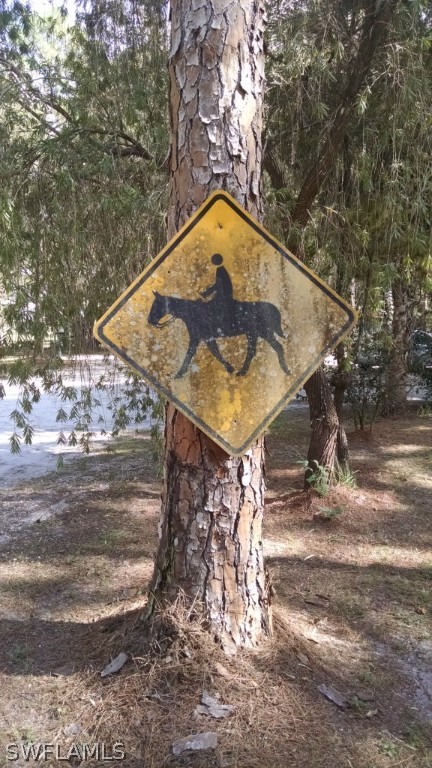 2095 Phillips Road LaBelle, FL 33935 - Photo 14 of 25 Gallery Image 14
