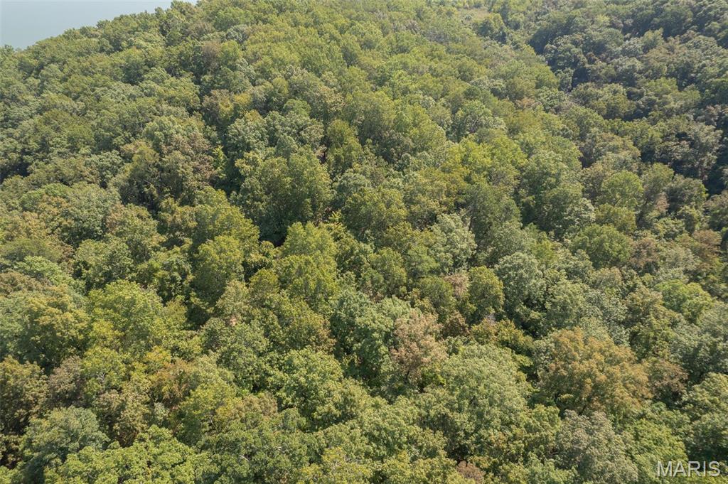 0 State Road Ellington, MO 63638 - Photo 22 of 23