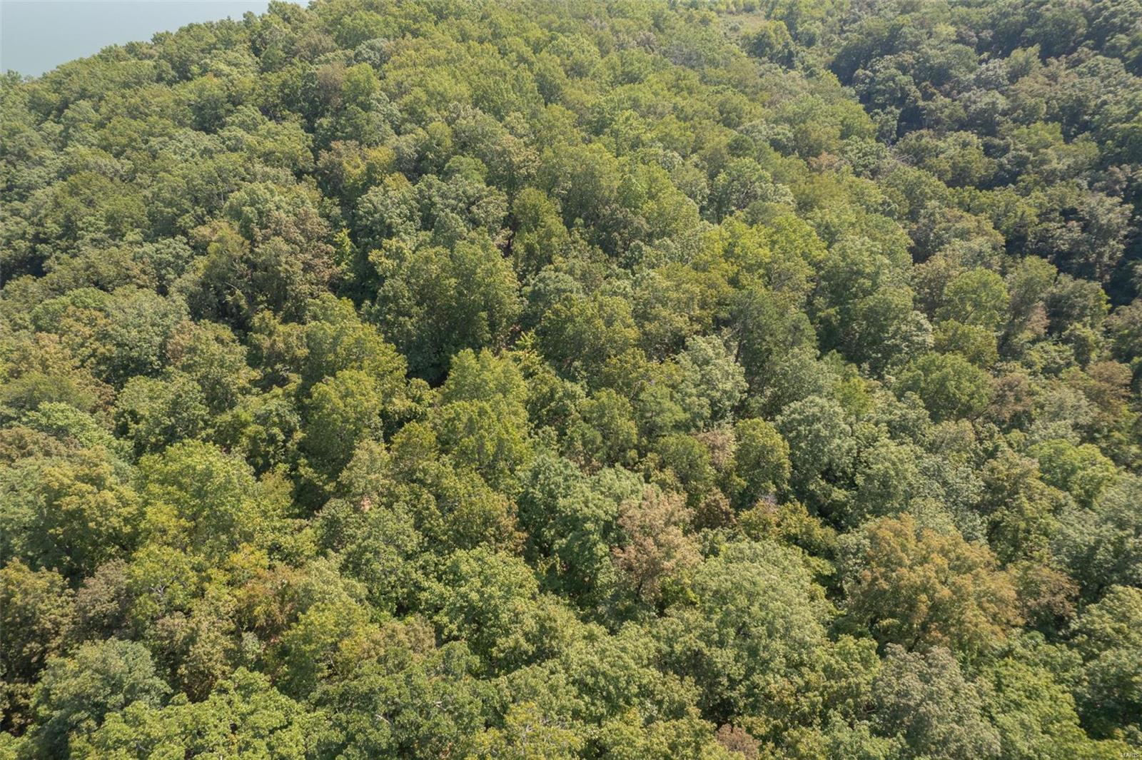 0 State Road Ellington, MO 63638 - Photo 22 of 23