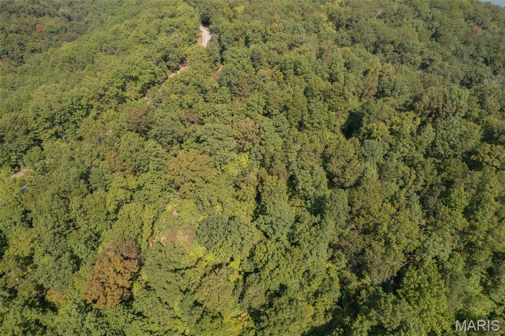 0 State Road Ellington, MO 63638 - Photo 3 of 23