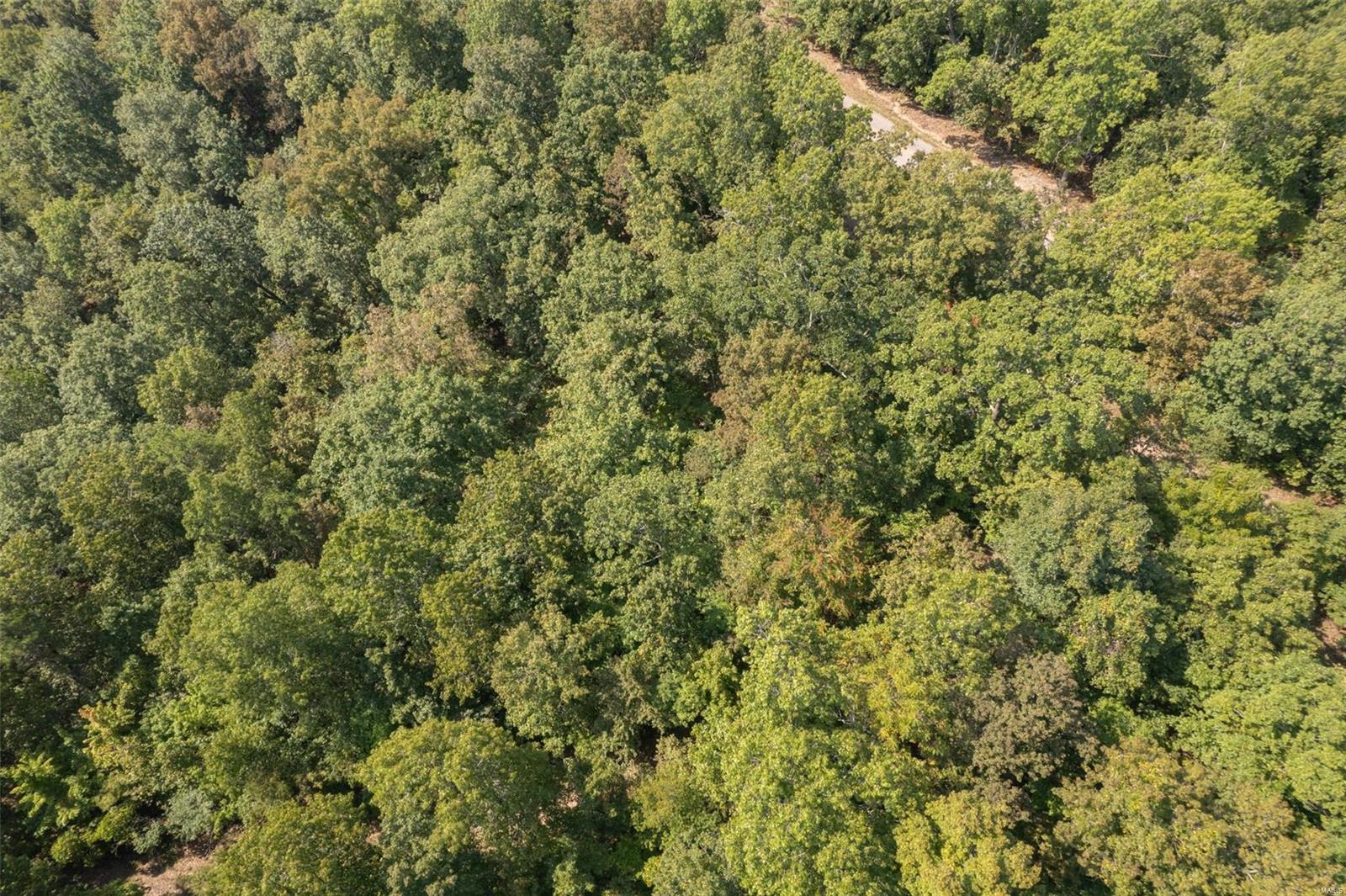 0 State Road Ellington, MO 63638 - Photo 9 of 23