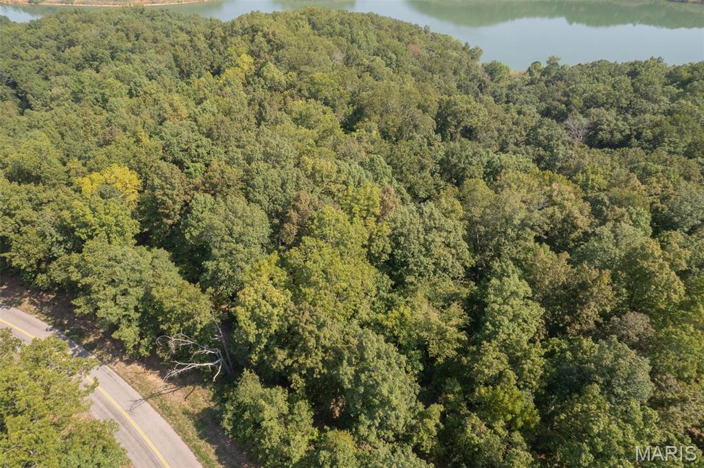 0 State Road Ellington, MO 63638 - Photo 10 of 23