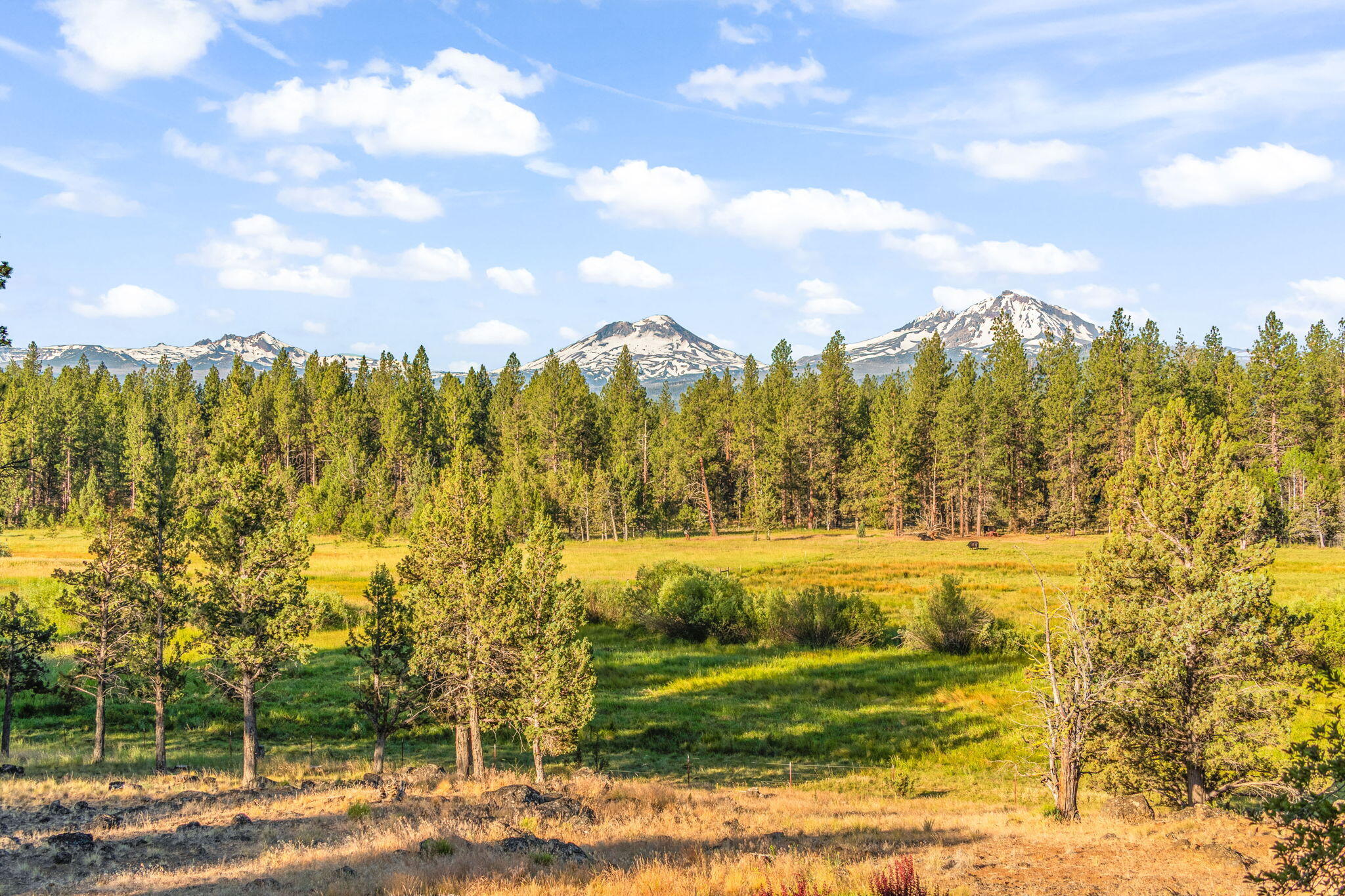 69485 Deer Ridge Road Sisters, OR 97759 - Photo 61 of 94