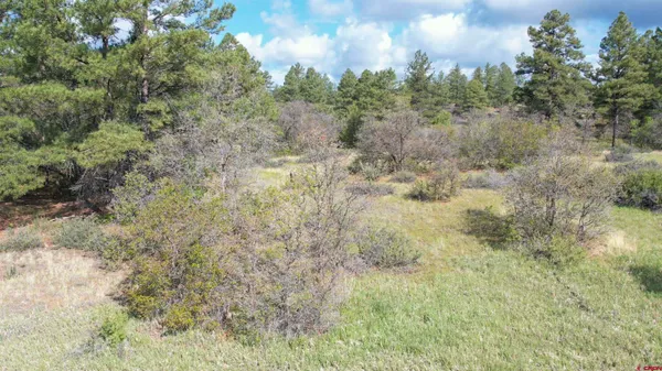 a view of a field of grass and trees