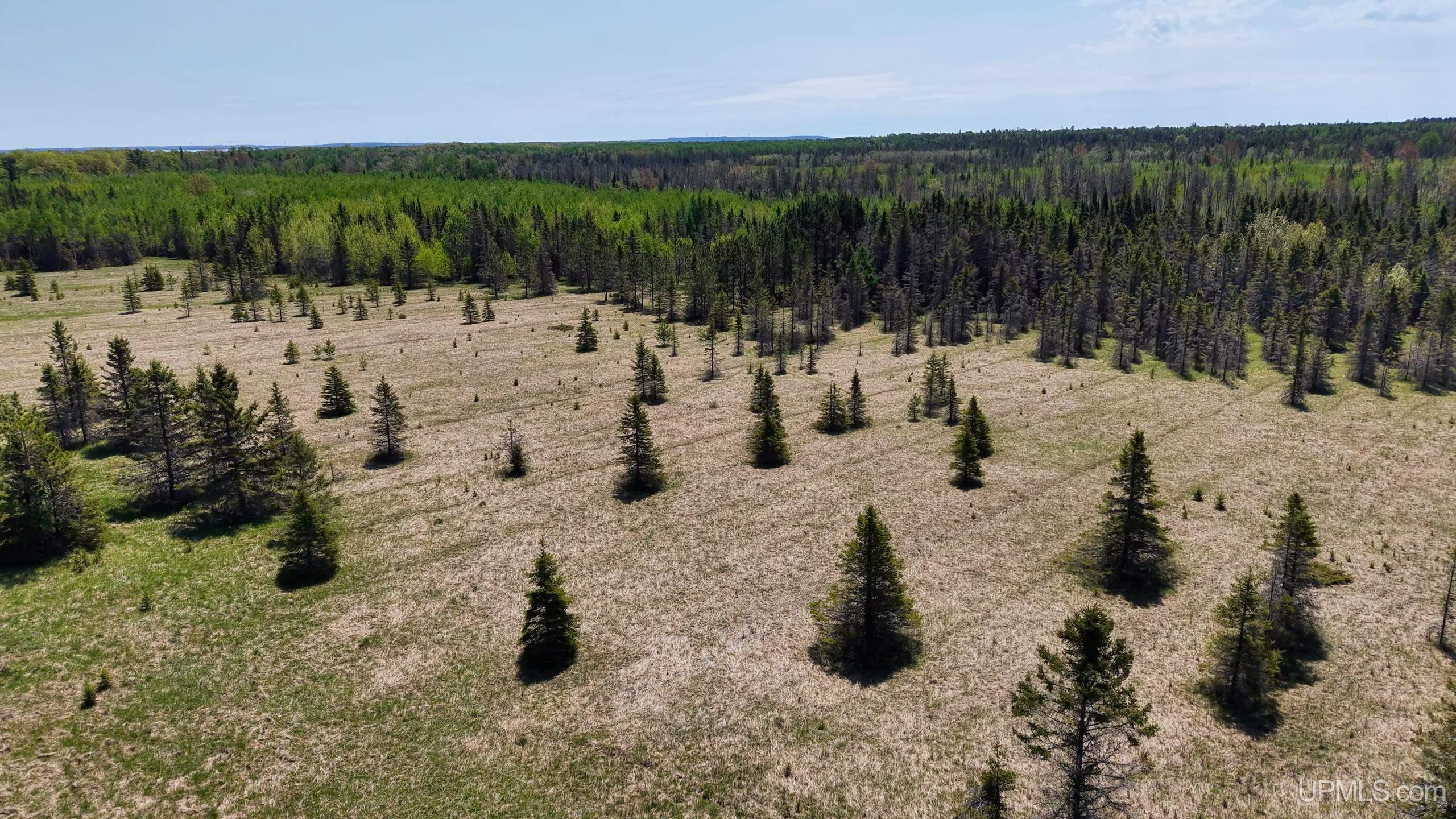 Tbd Co Rd 511 / Y5 Road, Unit STONINGTON Rapid River, MI 49878 - Photo 6 of 21