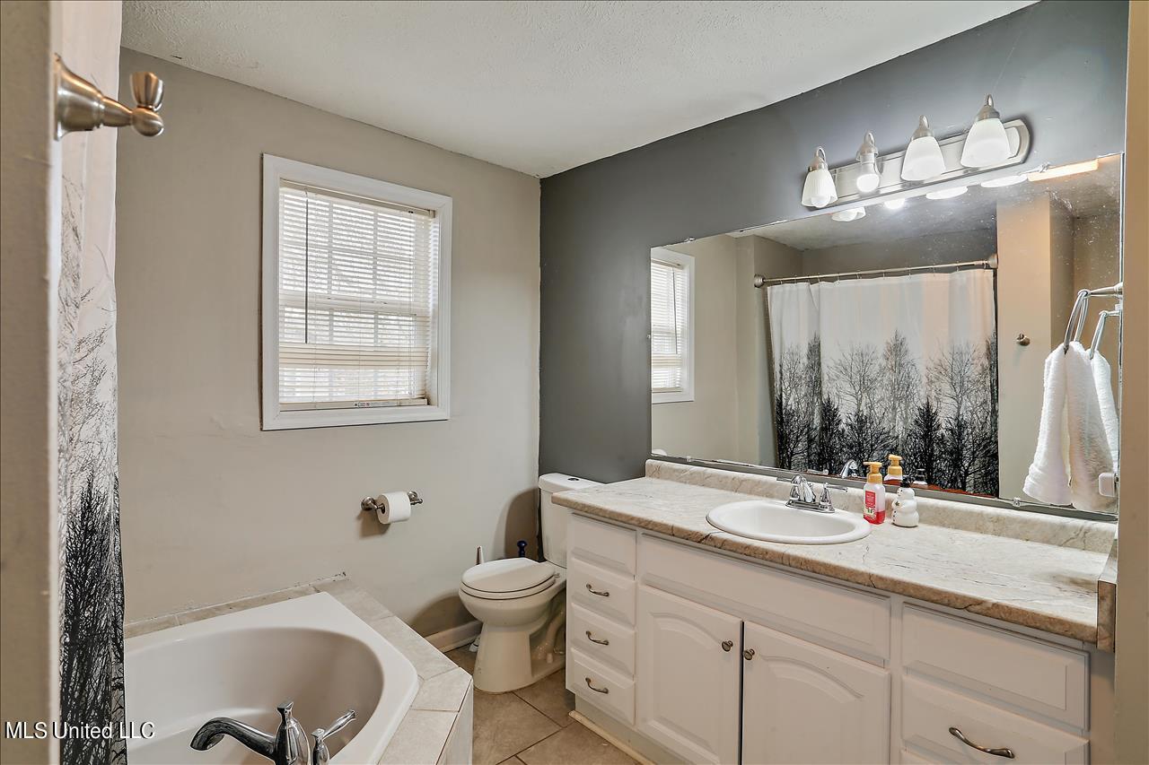 167 South Fox Hall Road Pearl, MS 39208 - Photo 18 of 22 Master Bath
